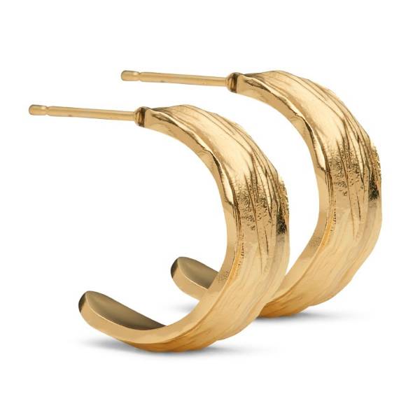 Billede af PURE Ørering Guld