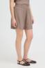Billede af Fransa Jett Shorts Mountain Trail 