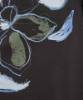 Billede af Masai Isira Shirt Beetle